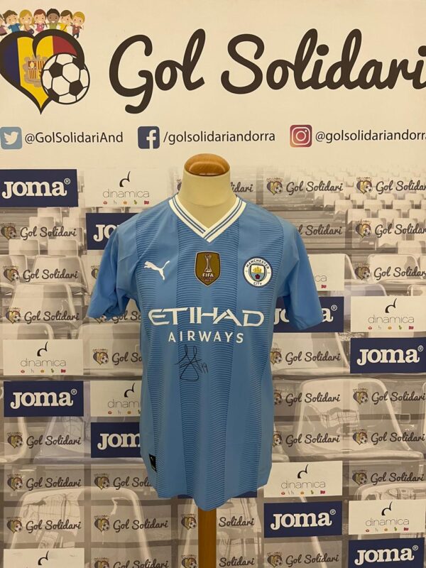 julian alvarez manchester city