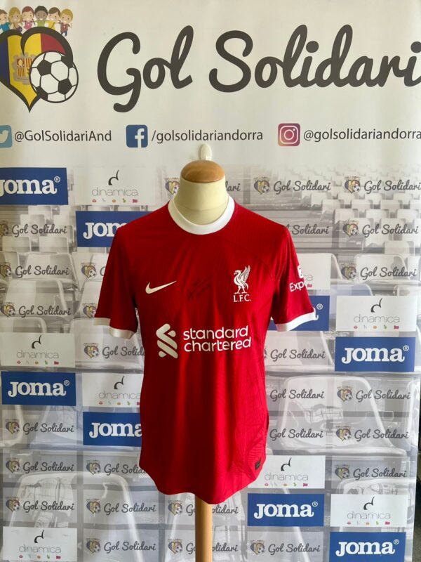 alexis mac allister liverpool