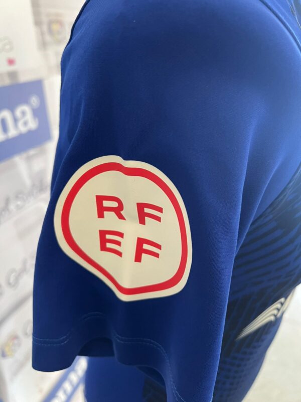fc andorra signada piqué